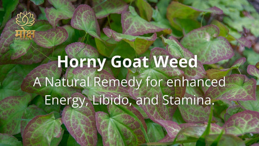 Horny Goat weed image with moksha botanicals logo