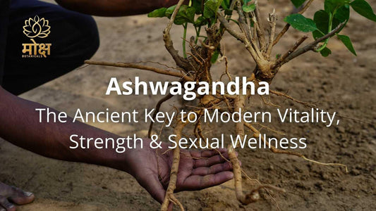 Ashwagandha plant image