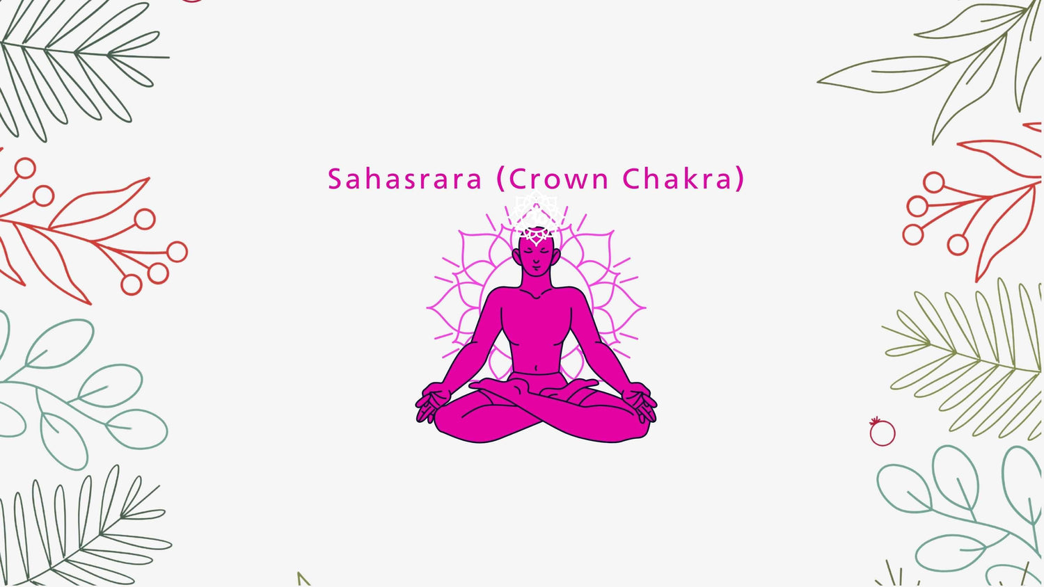 Sahasrara (Crown Chakra) moksha botanicals