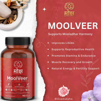 Moksha Botanicals Moolveer product jar and benefits infographic, showcasing Root chakra (mooladhar) support, helps energy, libido, stamina, endurance and fertility support