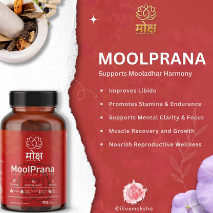 Moksha Botanicals Moolprana product jar and benefits infographic, showcasing Root chakra support, energy improvement, reproductive health support, stamina and endurance, fertility support.