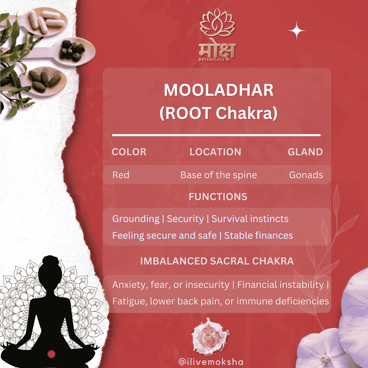 root chakra details