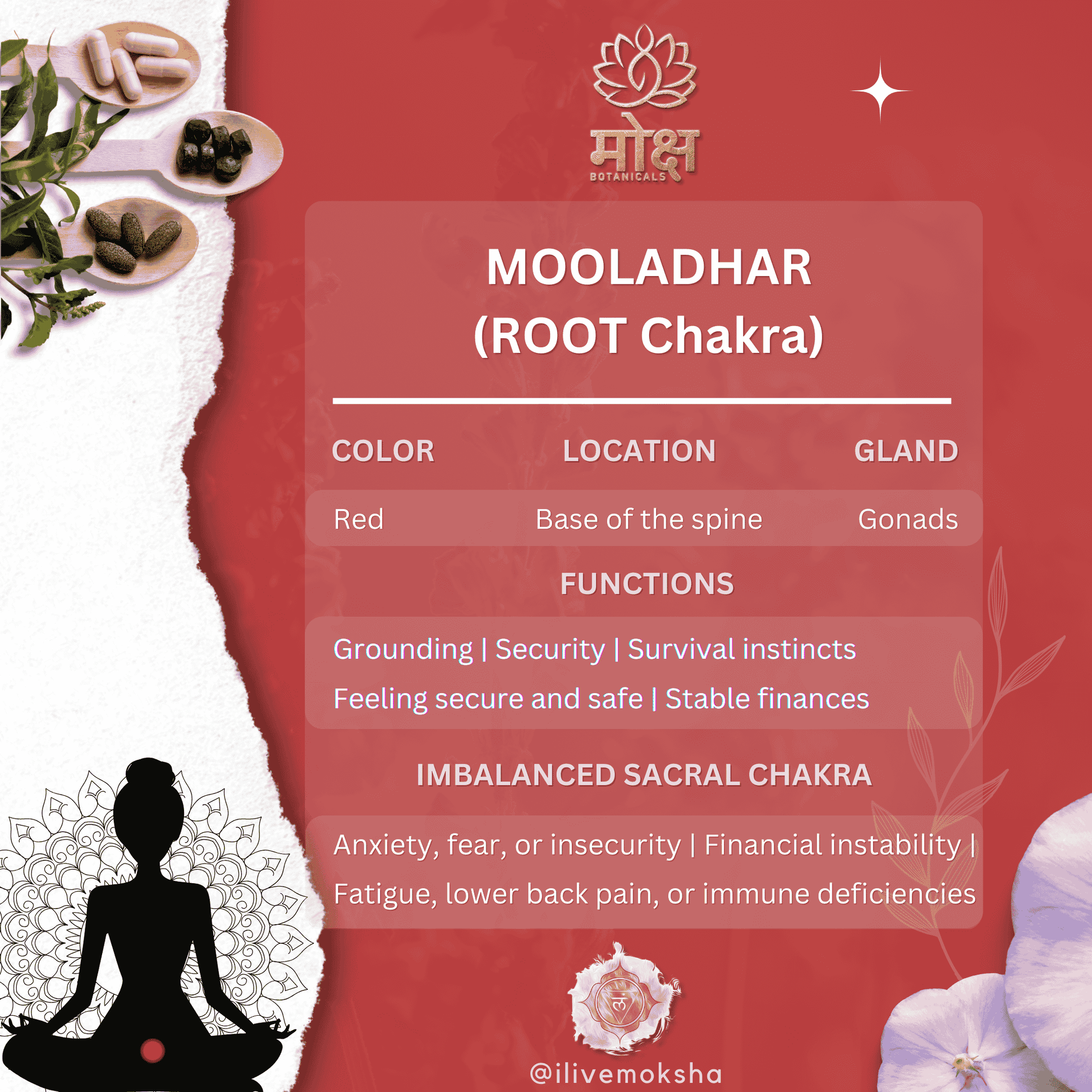 root chakra details